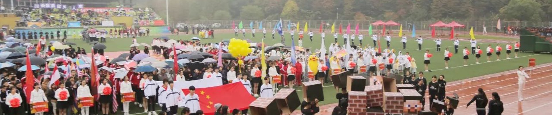 关于球盟会