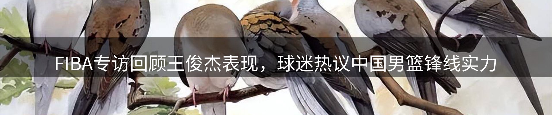 行业前瞻
